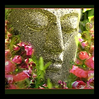 5x7 Budda Floral